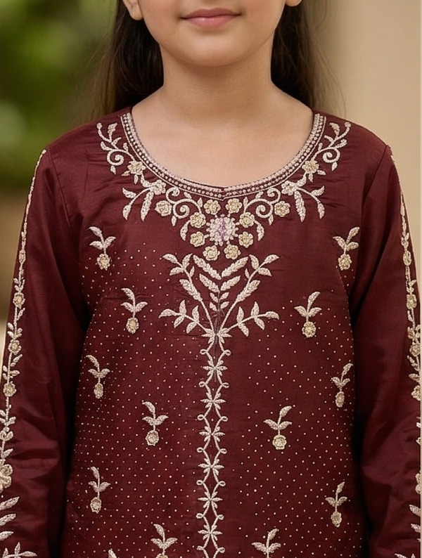 Noor Embroidered Suit – Maroon